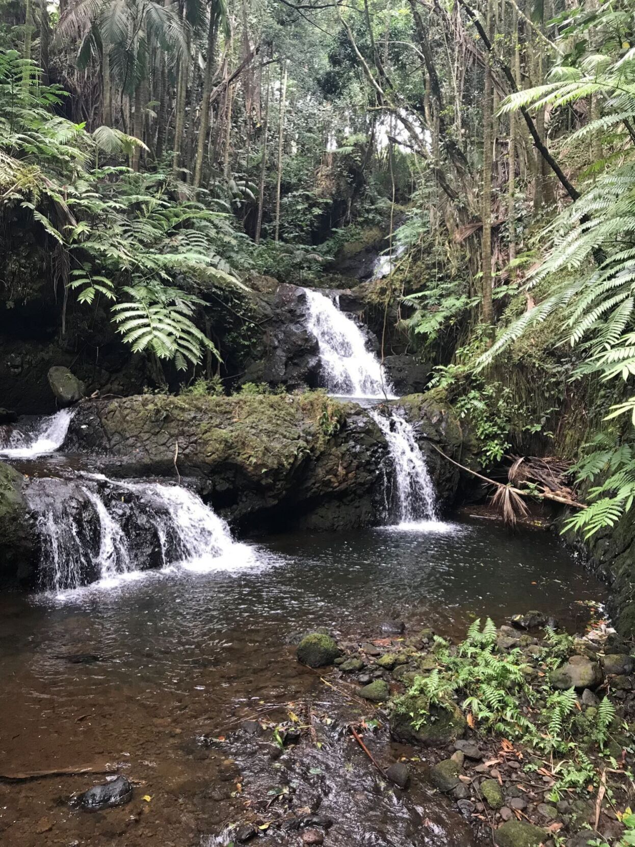 Botanic gardens in Hawaii